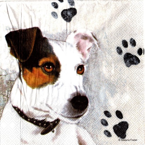 Serviettes papier chien - serviettes,