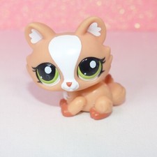 authentic littlest petshop LPS 1868 crouching cat kitty kitten sphinx sphynx