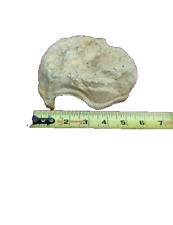 Exo Terra Reptile Cave Natural Hiding Place Rock Faux Heavy Decor Lizard Hide