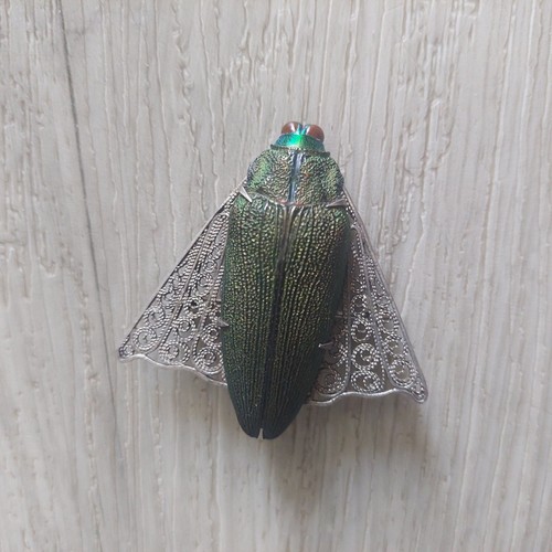 Rare bijou art - art, insecte