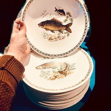 12 assiettes plates à poisson