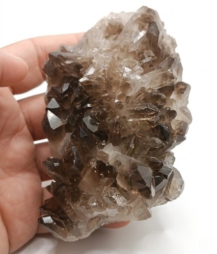 Quartz fumé cristal stufe - fumé, 245