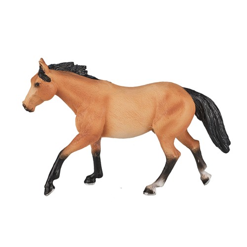 Mojo quarter horse buckskin - mojo,