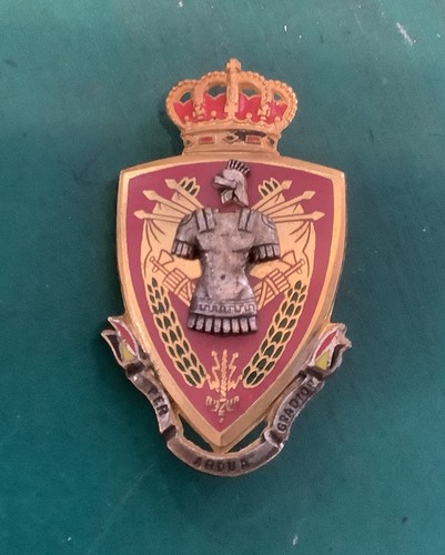 Insigne belge casquette - insigne,