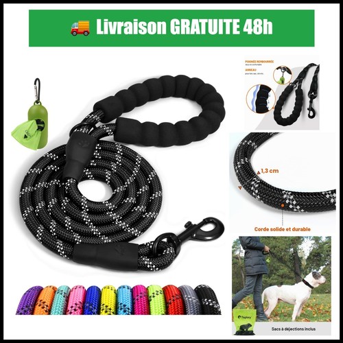 Laisse chien corde
