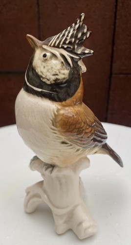 Mesange hupee porcelaine - mesange, en