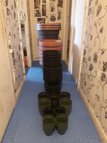 Pots fleurs plastiques - pots,