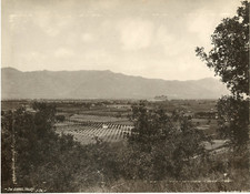 J.H. White, San Gabriel Valley California Vintage Albumen Print Platinum Print