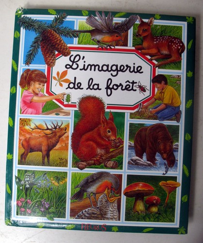 Imagerie forêt - l'imagerie,