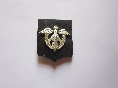Insignes militaires béret - insignes,