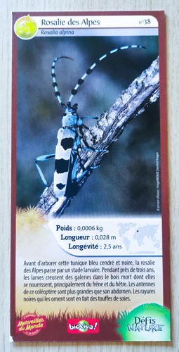Carte merveilles monde - merveilles,
