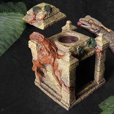 Reptiles Cachette Grotte