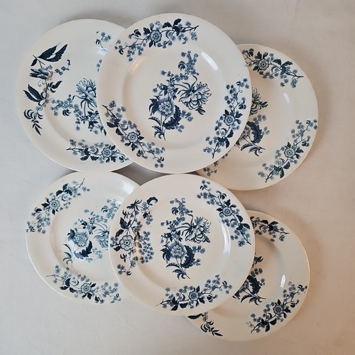 Assiettes plates décor ycho - plates,