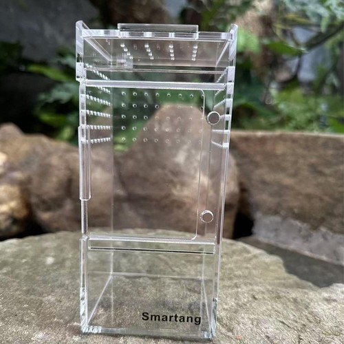 Terrarium acrylique pour - en,