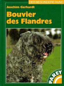Bouvier des flandres - bouvier,