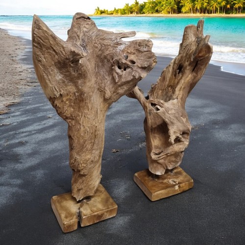 Sculpture bois racine de - bois,