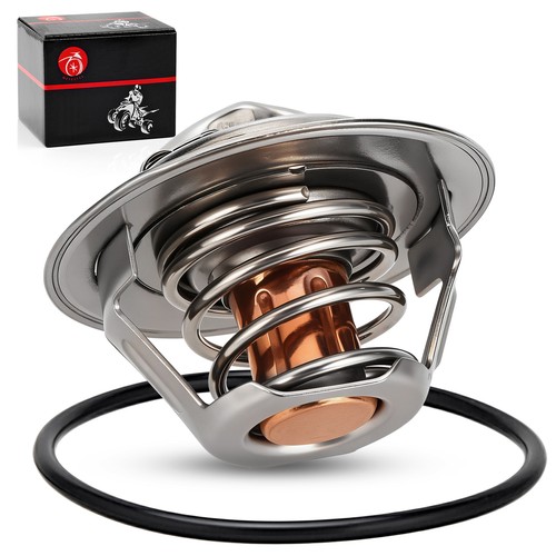 Thermostat o ring - &, o-ring(53.5x2.6)