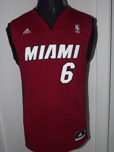2012 nba miami heat lebron - 2012-13,