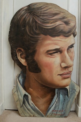 Johnny hallyday art peinture - hallyday,