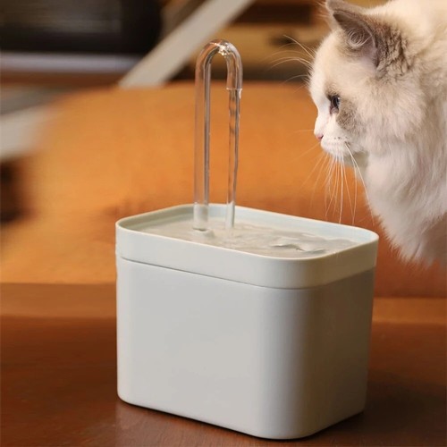 Fontaine eau pour chat - fontaine,