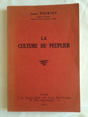 Culture peuplier jean - peuplier,