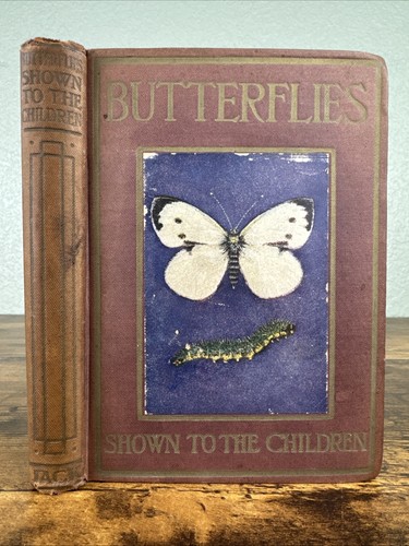 Butterflies and moths shown - and,