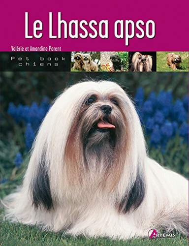 Lhassa apso parent valérie - lhassa,