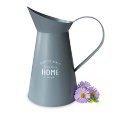 Arrosoir Gris En Métal Arrosoir De Jardin