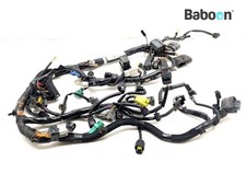 Faisceau de câblage Suzuki