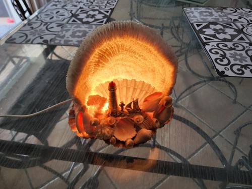 Lampe coquillage tres jolie - tres,