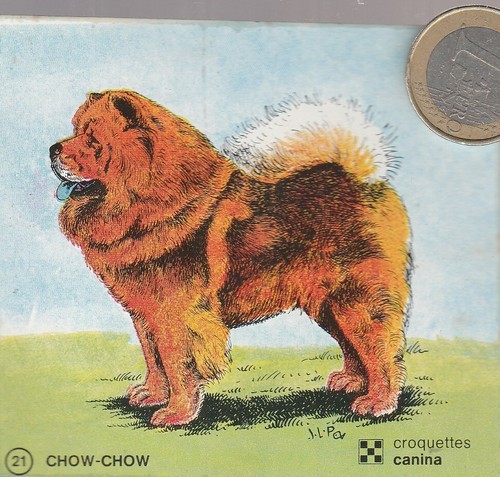 C44ani animaux chien - c44ani., animaux.