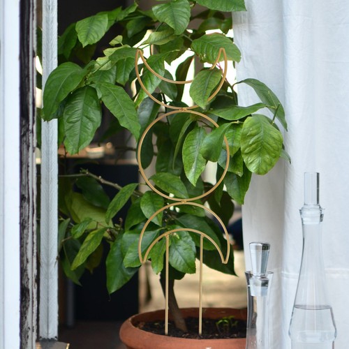 Pcs treillage plantes - pcs,