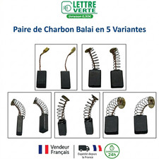 Paire de Balais Charbons