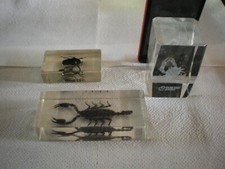 lot de trois presse livres en plexis glace 'scorpion 'scarabée'  crabe