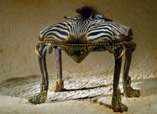 RARE real authentic ZEBRA skin