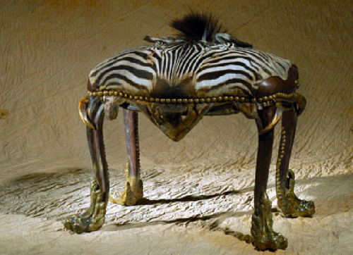 Rare real authentic zebra - real, skin