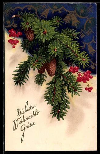 Branche sapin avec - de,
