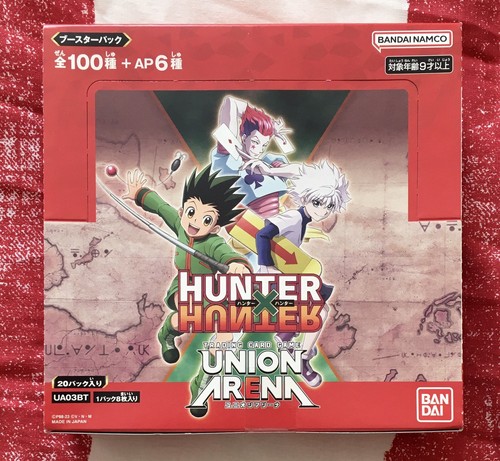 Hunter union - hunter, x