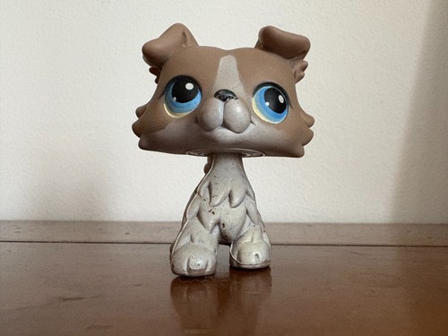 Petshop colley 67 - petshop, n°67