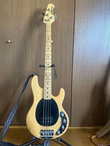 Music man stingray guitare - man, /