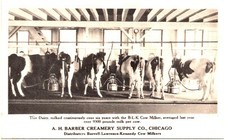 Harber Creamery Dairy, Chicago  IL, Advertising Postcard, Cows Milking Machines