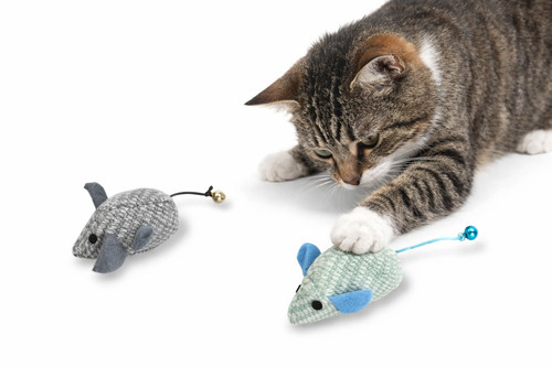 Jeu chat chien mignon - chat, peluche