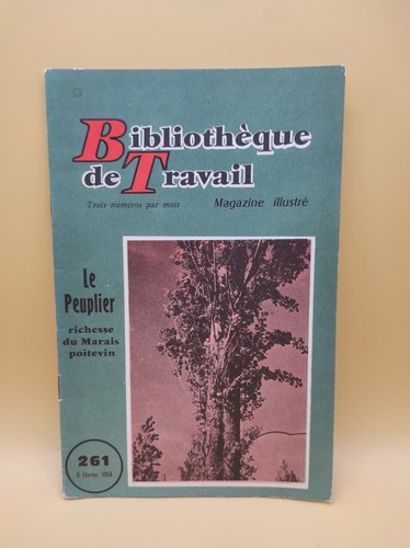 261 peuplier marais - n°261,