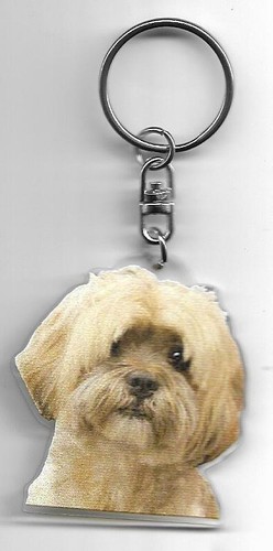 Lhassa apso chien porte - lhassa,