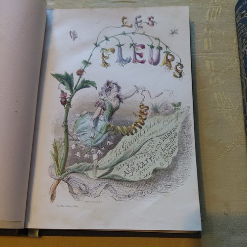 Les fleurs animées - les,