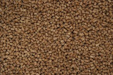 FMF Cichlidés Boulettes