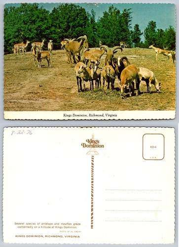 1976 kings dominion richmond - dominion,