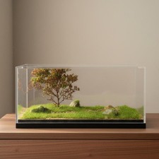 Vitrine D'exposition