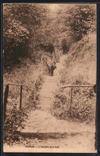 Old postcard Durbuy, L ́escalier sous bois 