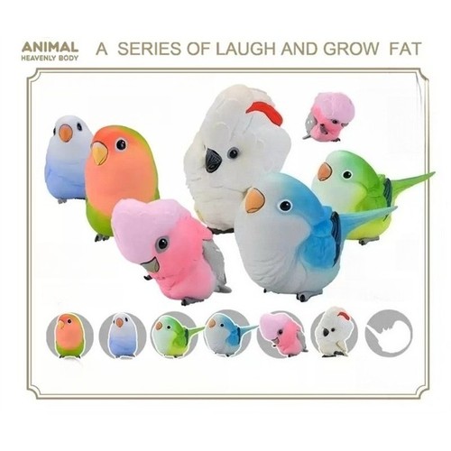 Animal planet laugh and - and, grow